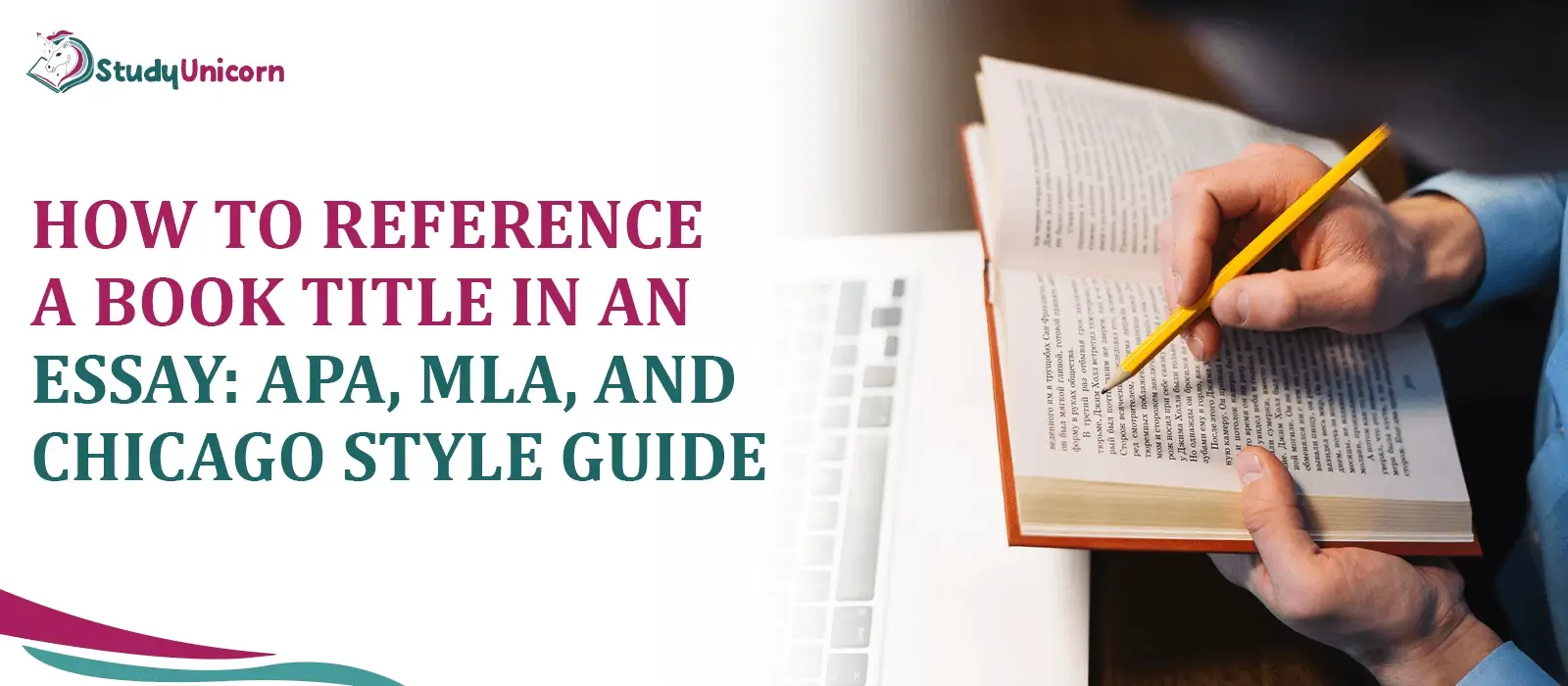 How to Reference a Book Title in Essay (APA, MLA, Chicago)
