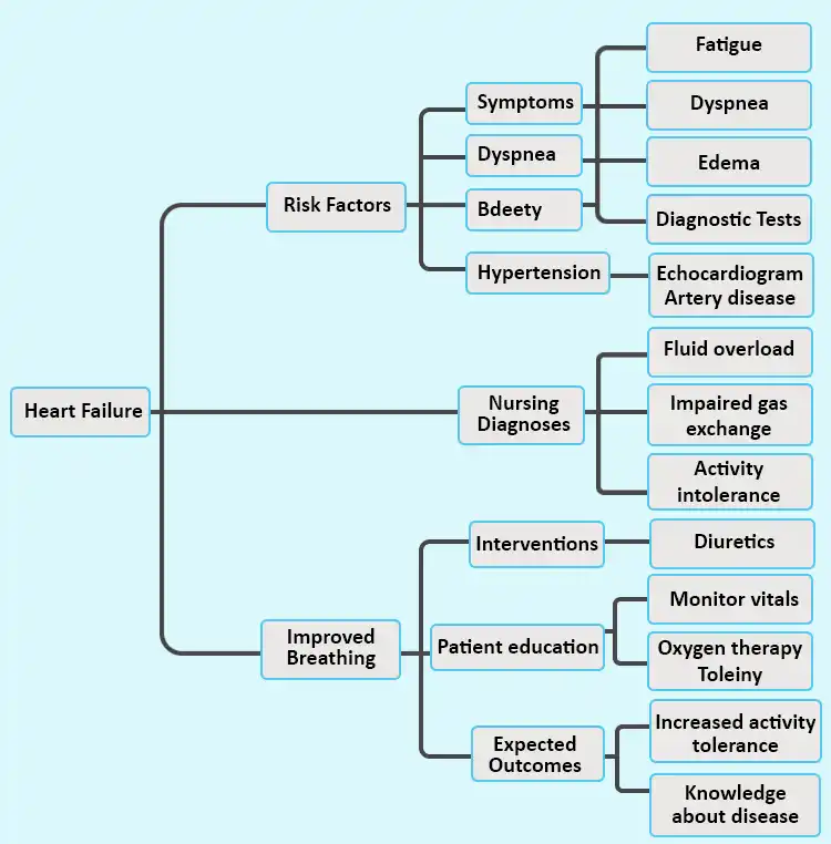 Congestive heart failure nursing concept map example for patient care planning