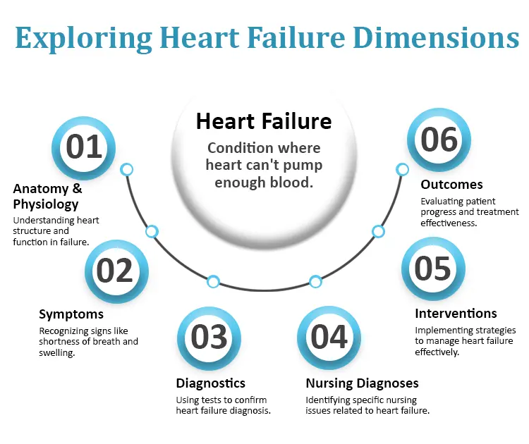 Heart failure nursing concept map showing dimensions for patient care planning