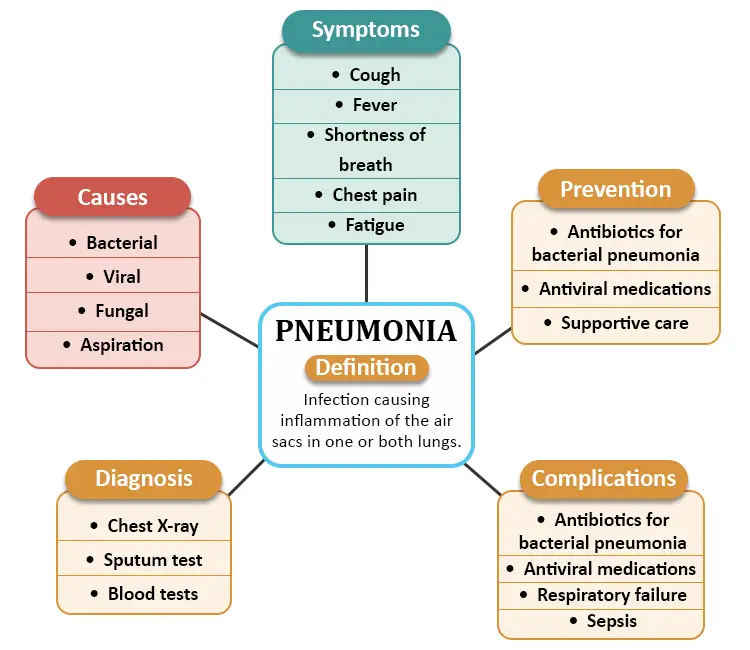 Pneumonia nursing concept map for patient care and clinical planning